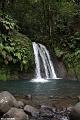 Cascade aux ecrevisses Guadeloupe
